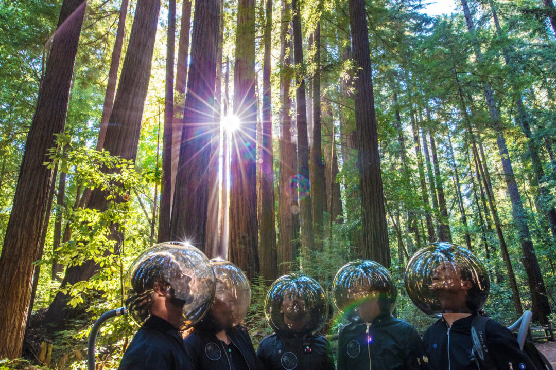 STS9